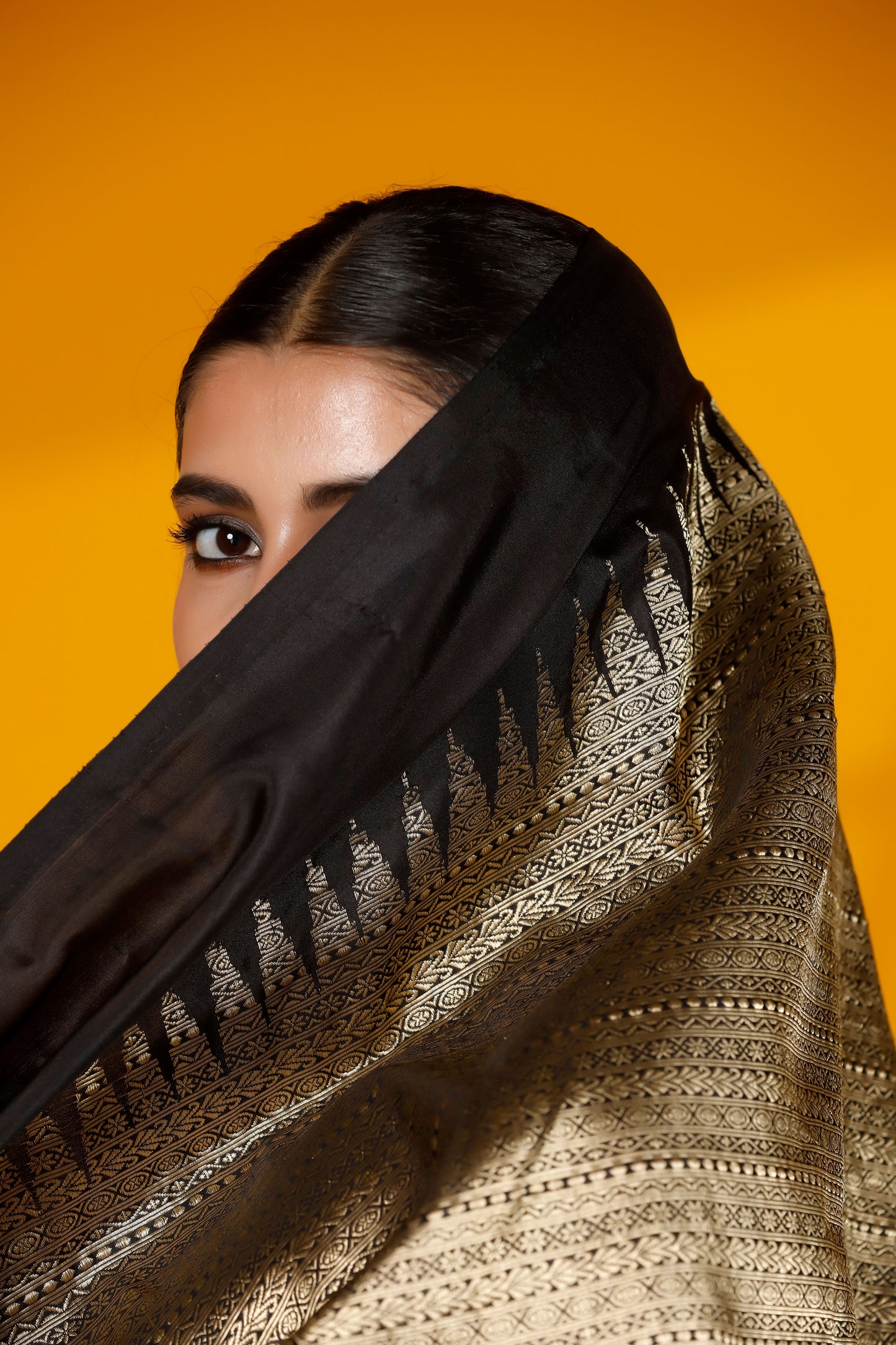 Black Pure kataan Banarasi Handloom saree
