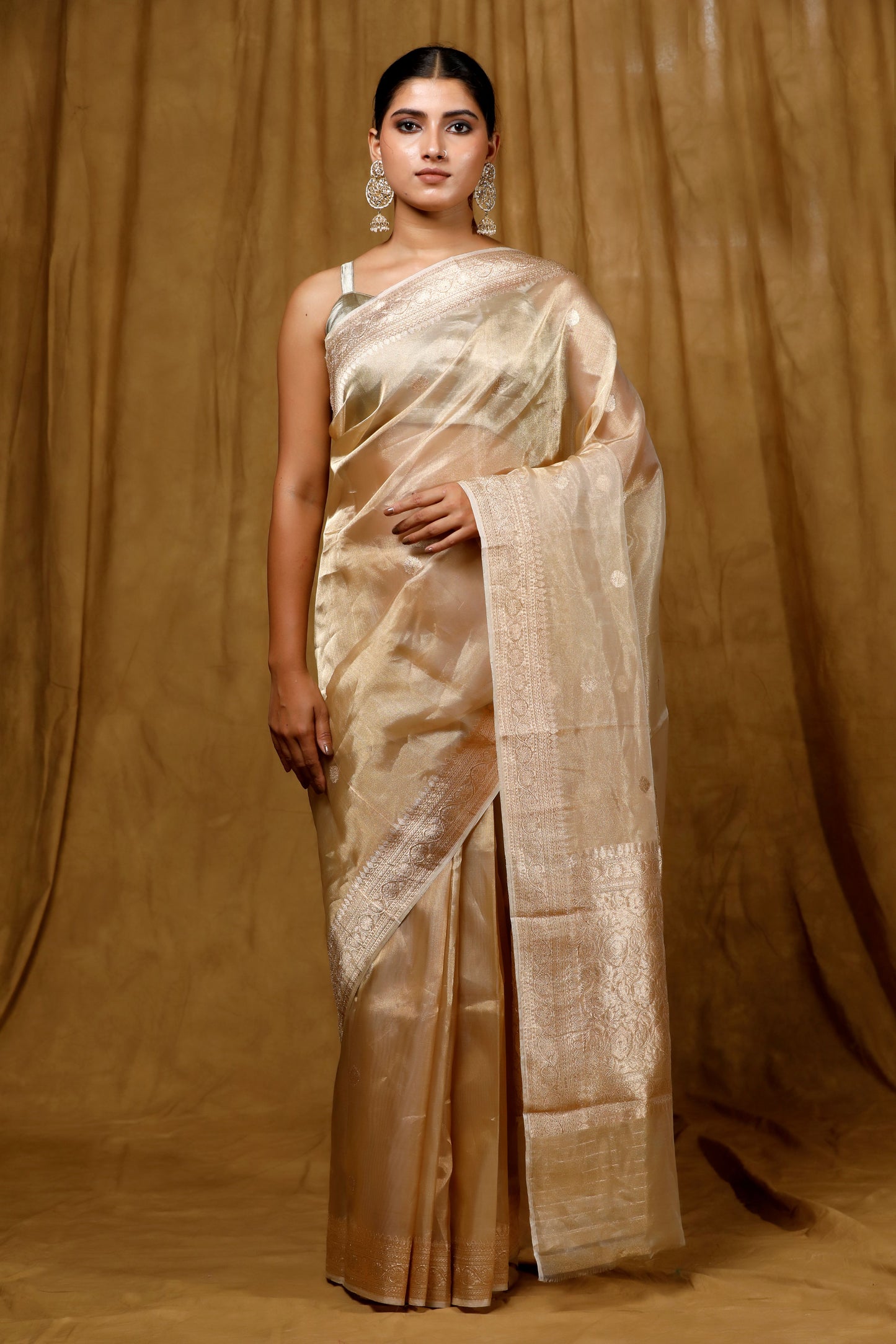 Gold Tissue Banarasi Handloom saree