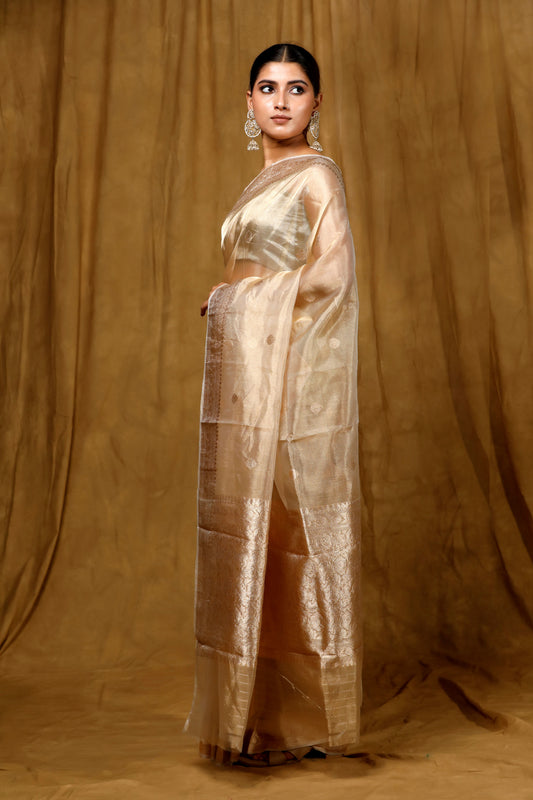 Gold Tissue Banarasi Handloom saree