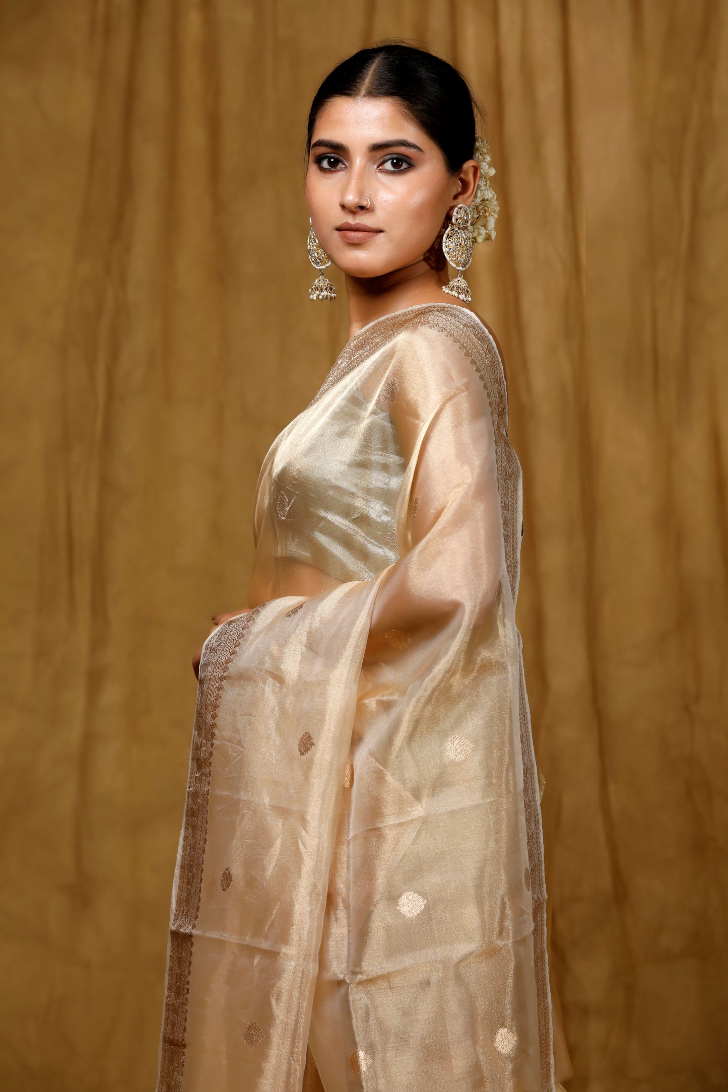 Gold Tissue Banarasi Handloom saree